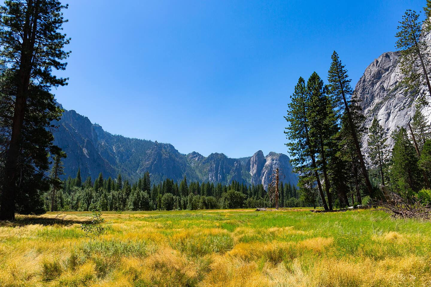 BOM sleeps 22 | GameRM | Badger Pass | karaoke!