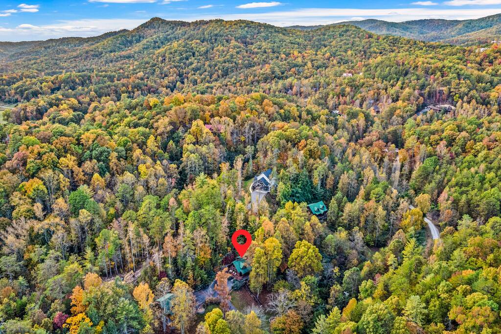 Arial view of the cabin location.