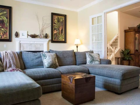 Comfy Living Room Sofa (which converts to a Full Sleeper)