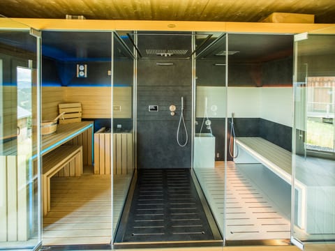 Alpenchalet 341