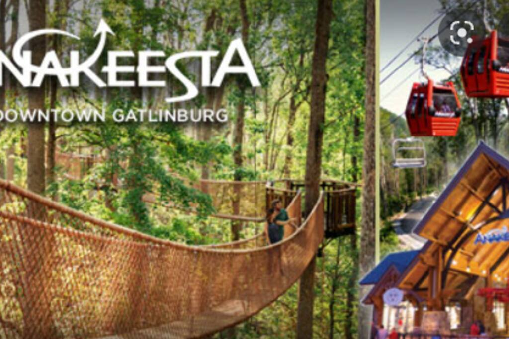 8 Miles from Anakeesta Theme Park 8 Miles from Anakeesta Theme Park - Prime Location 2x King Beds PoolTable Shuffleboard - Sevierville