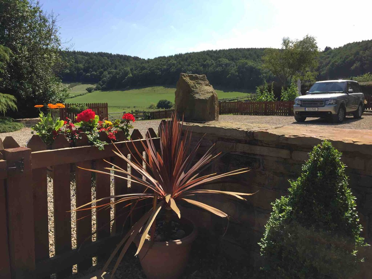 dog-field-sea-forest-views-dogs-stay-free/