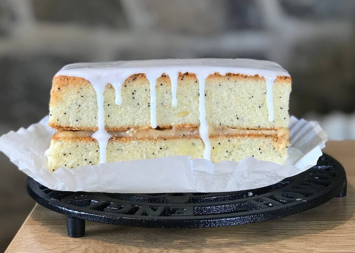 dog-field-sea-forest-views-dogs-stay-free/