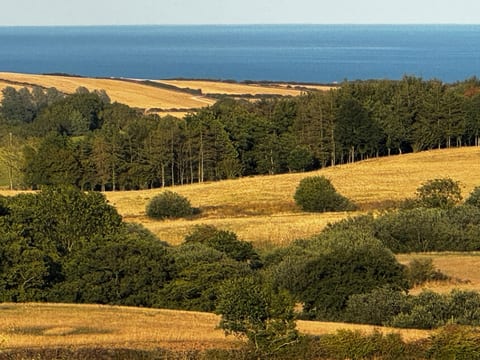 Dog Field - Sea & Forest Views - Dogs Stay Free