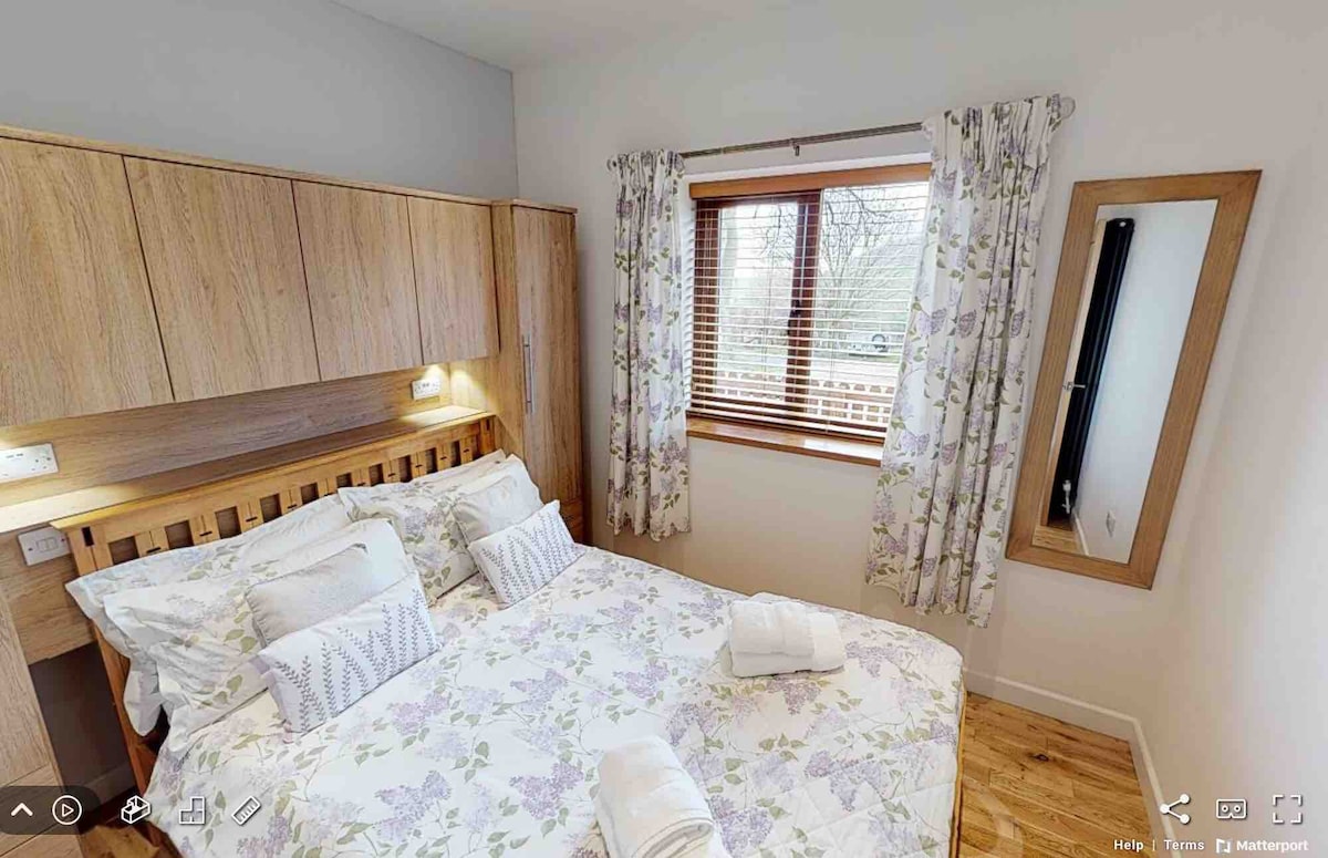 dog-field-sea-forest-views-dogs-stay-free/