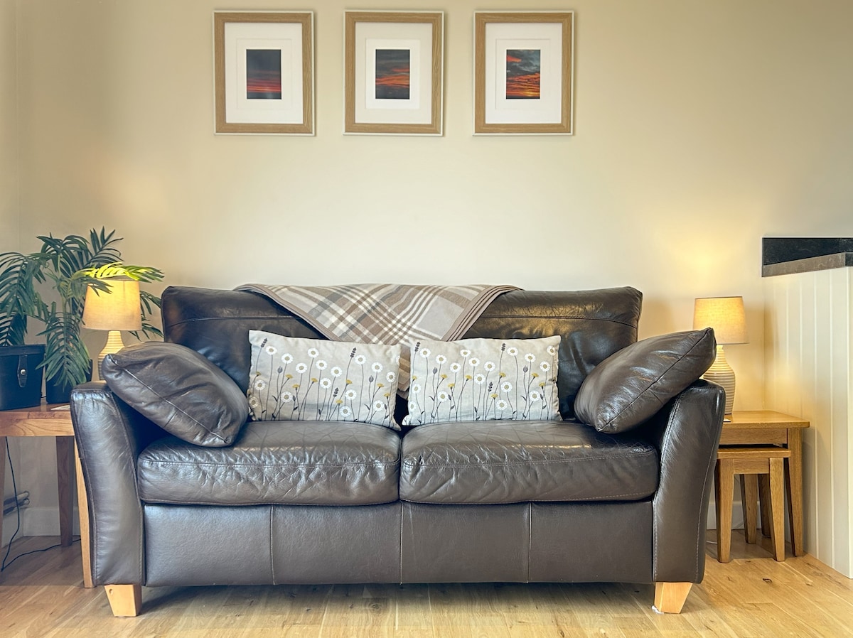 dog-field-sea-forest-views-dogs-stay-free/