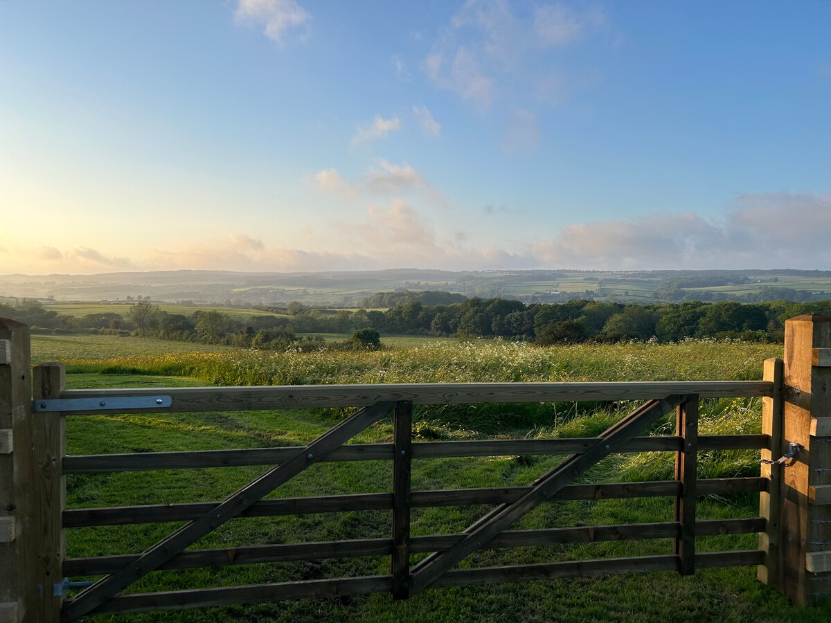 dog-field-sea-forest-views-dogs-stay-free/