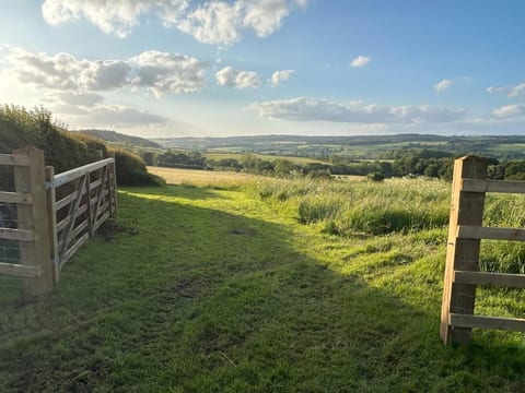 Dog Field - Sea & Forest Views -Dogs Stay for Free image 1