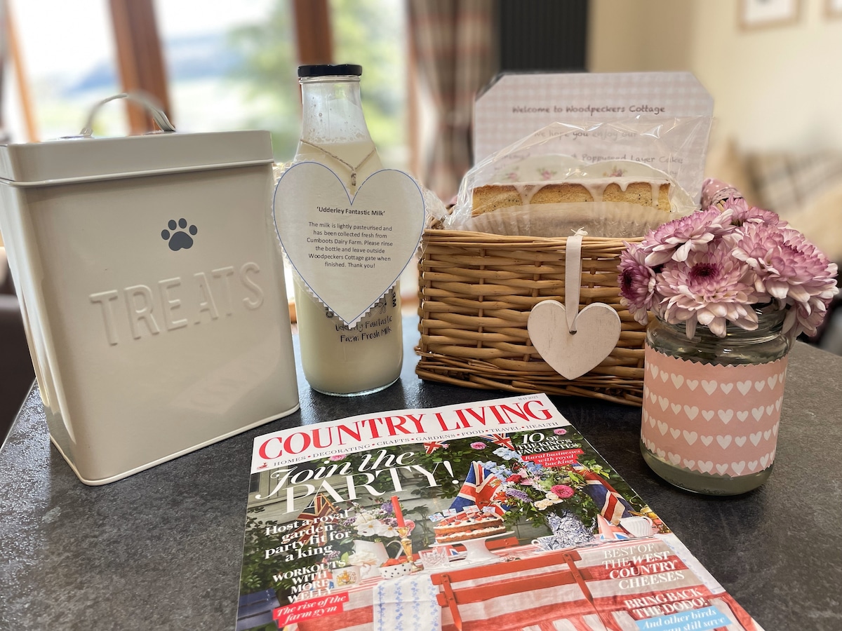 dog-field-sea-forest-views-dogs-stay-free/