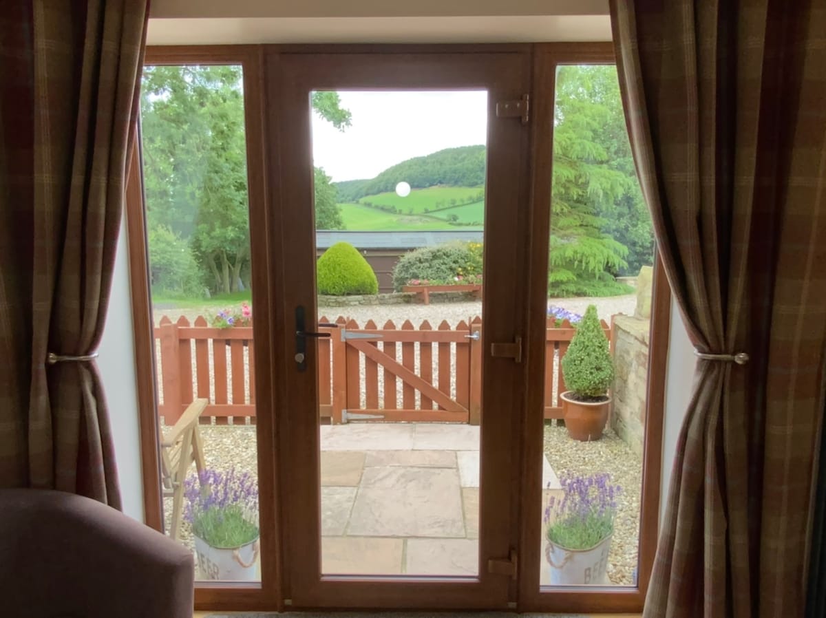 dog-field-sea-forest-views-dogs-stay-free/