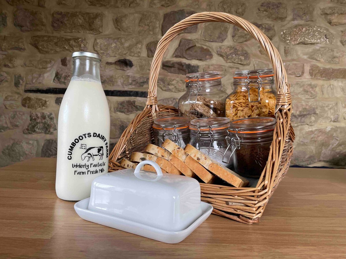 dog-field-sea-forest-views-dogs-stay-free/