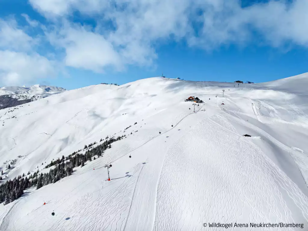 Wiedhölzl (BMG141) - Bramberg am Wildkogel