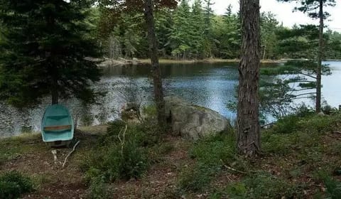Pond behind the house