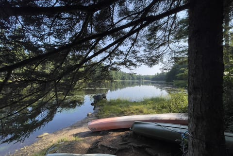 Lake view