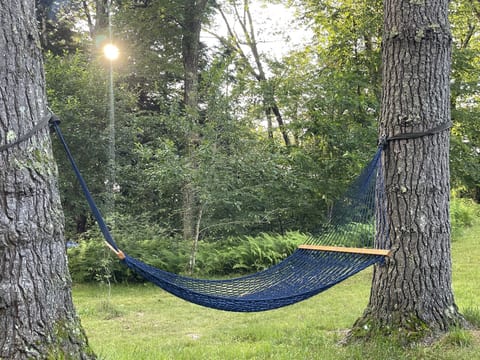 Hammock
