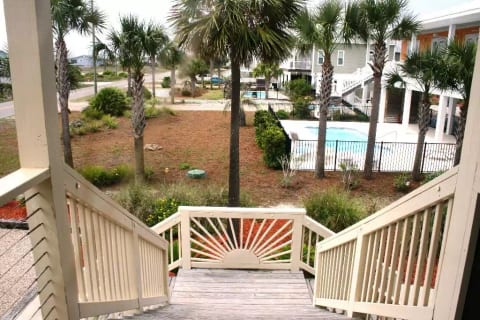 Little Palm