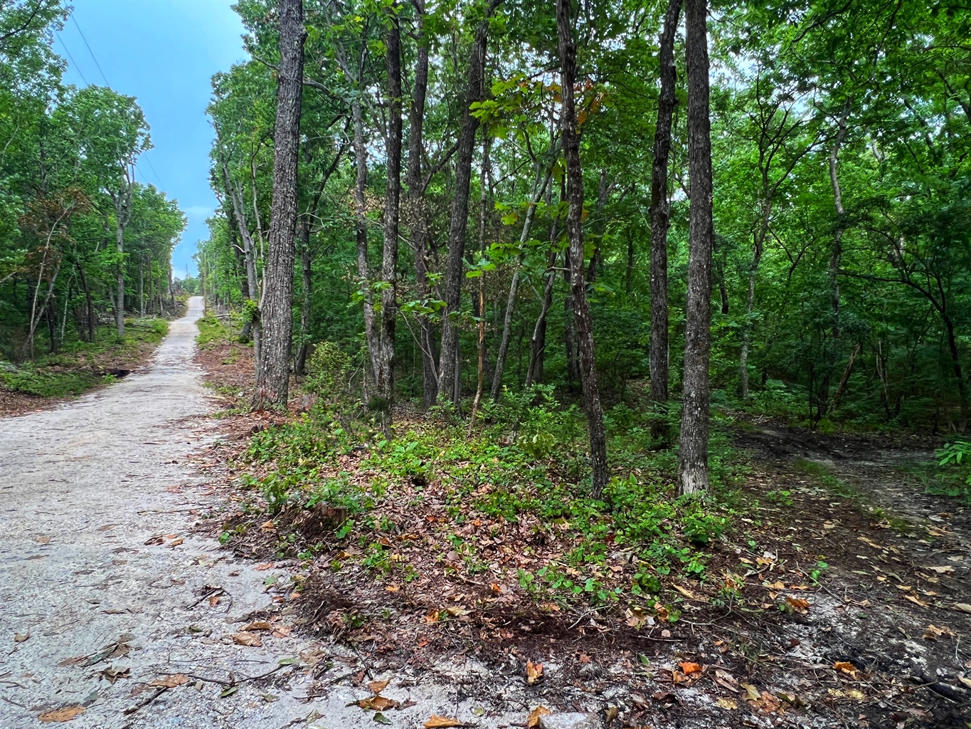 Private dirt/gravel road winds through Woodland Retreat at DeSoto - The Otter Box Cabin - Fort Payne