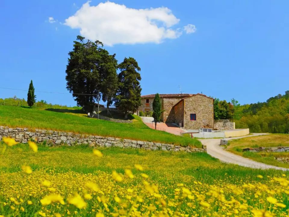 Locazione turistica Selvapiana - Greve in Chianti
