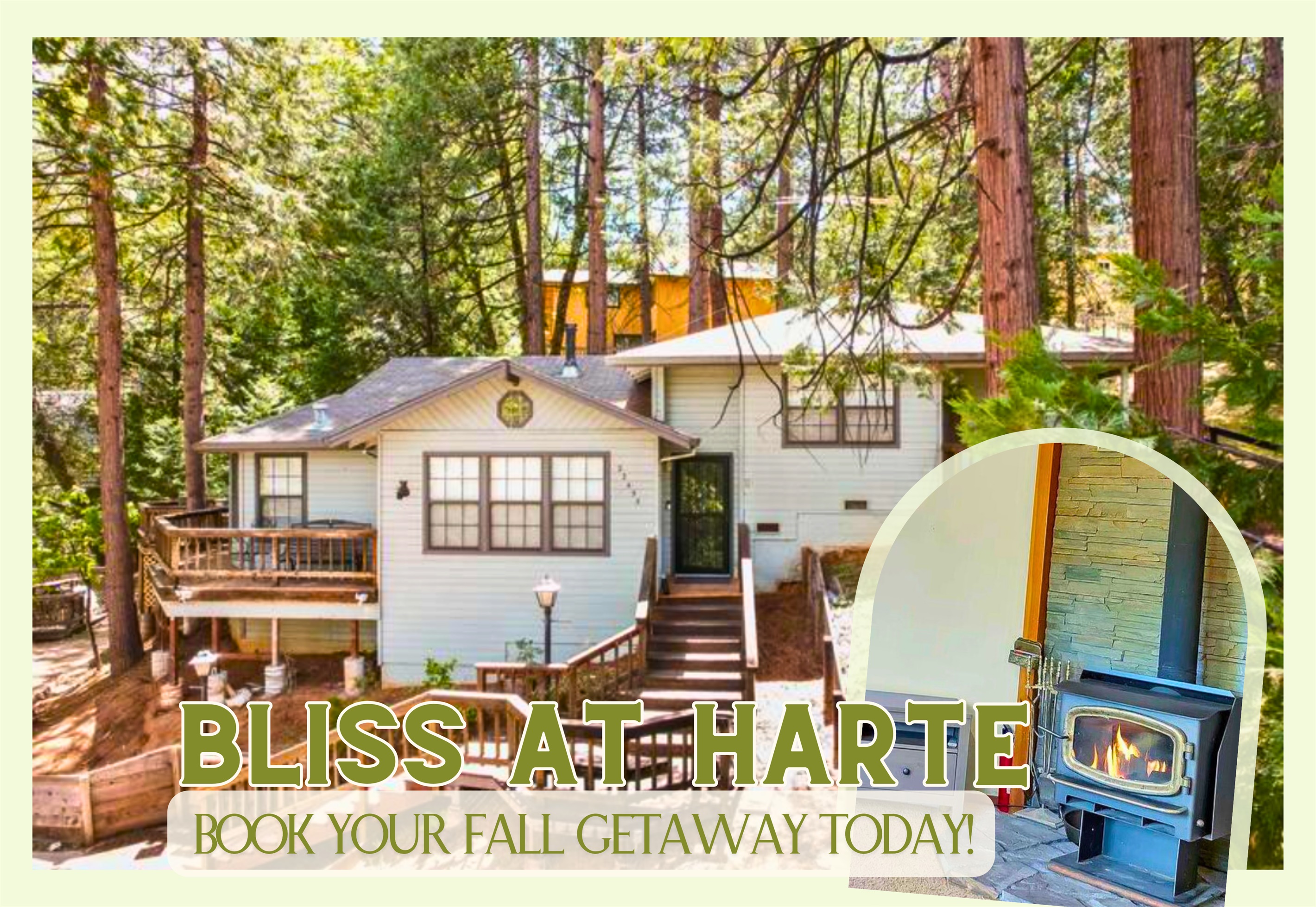 bliss-at-harte-cabin/