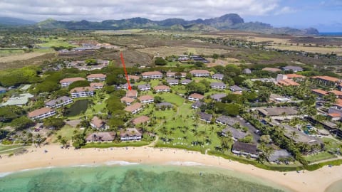 KAUAI | PARADISE GARDEN VIEW | STEPS FROM BEACH!