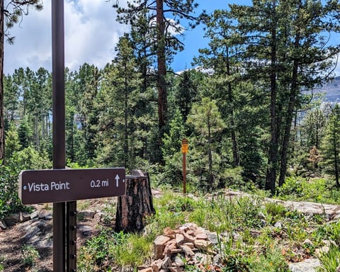 The San Juan National Forest is yours, right off the backyard. And a beautiful Vista awaits.