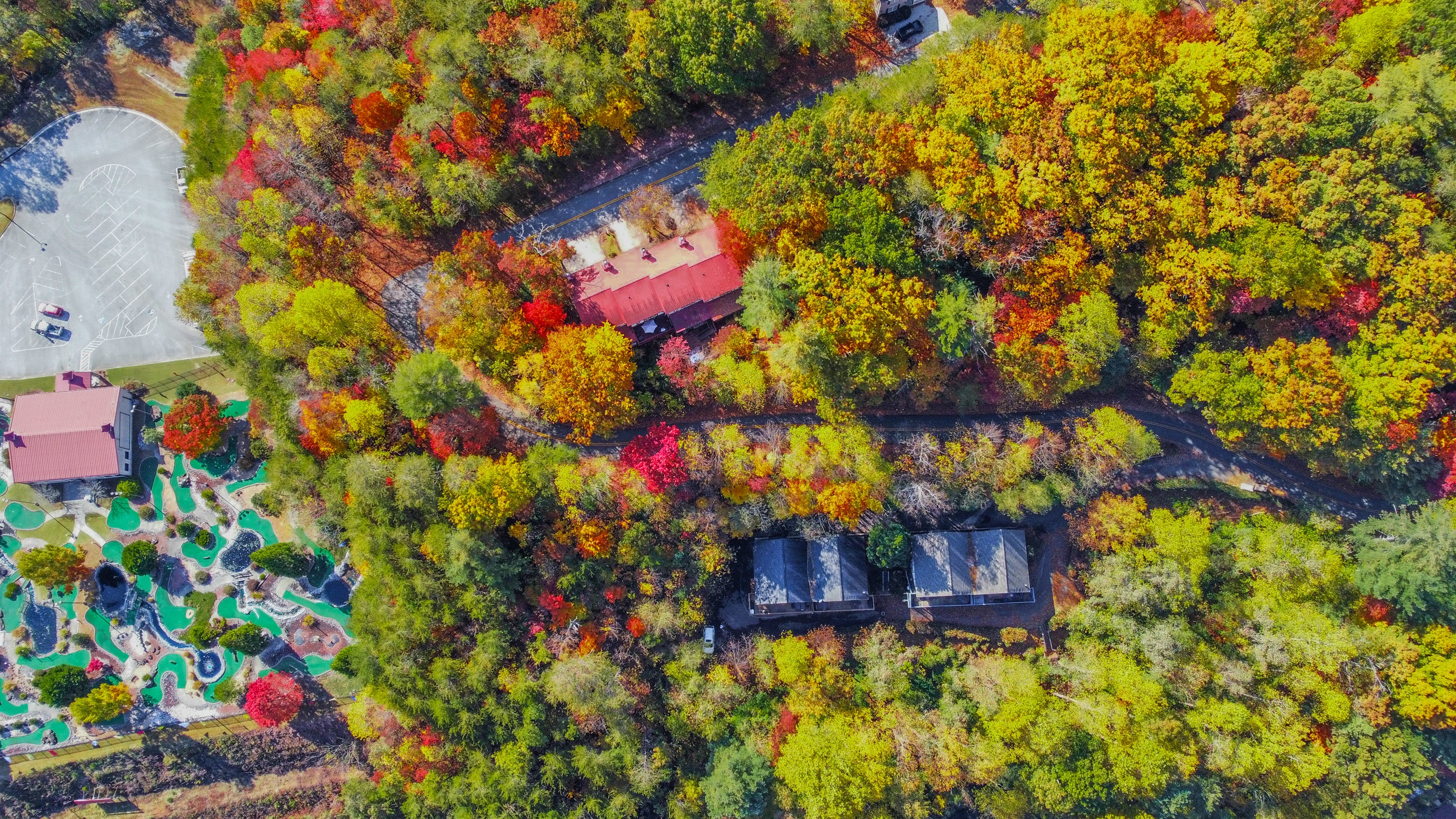 the-alpine-bungalow/