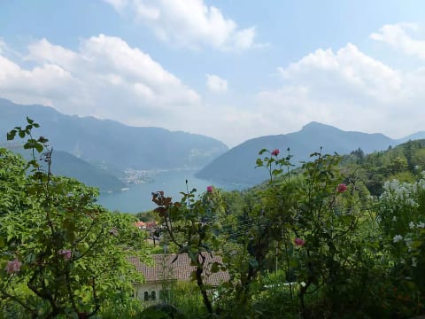 al Ronchetto