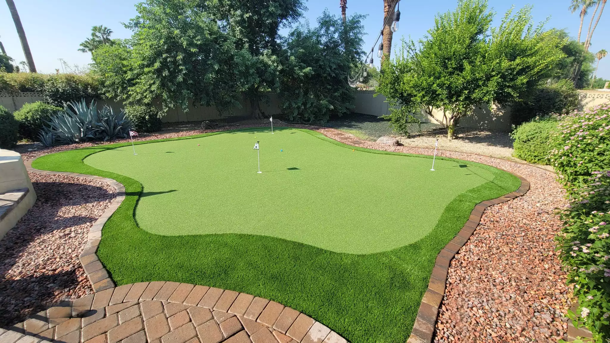 Scottsdale Endless Summer - Scottsdale