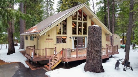 Another snowy day in paradise – Pinecone Cottage in winter mode.