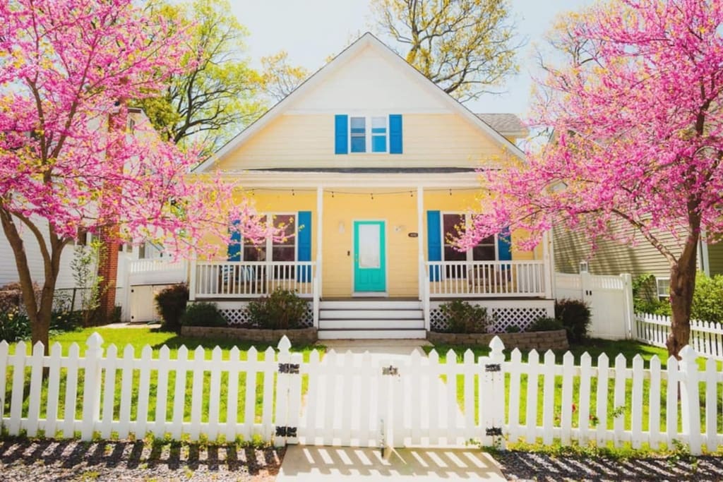 Huge Beach Home | 2 King Bds | Backyard Dining