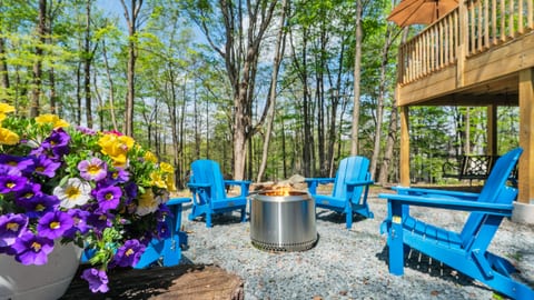Solo stove fire pit.