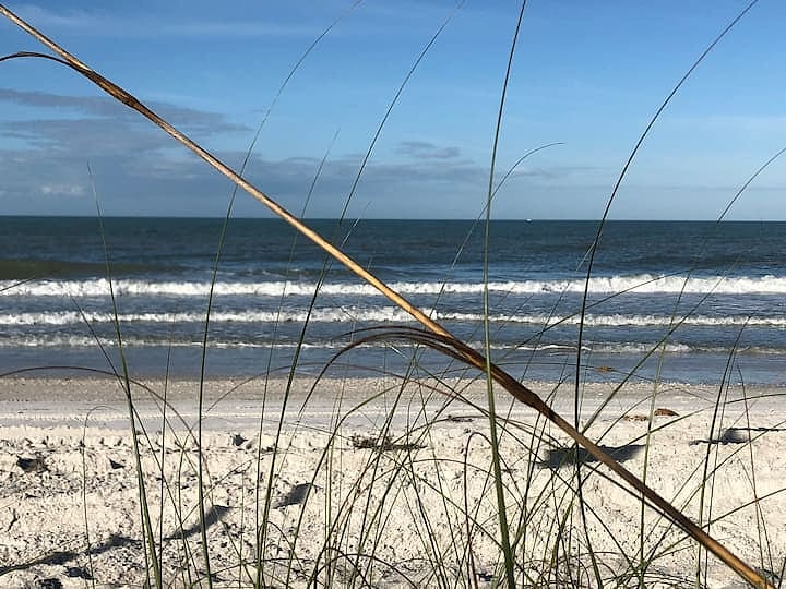 Beach Cottage-Pass a Grille- Steps to beach - St. Pete Beach