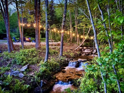 Alder Brook