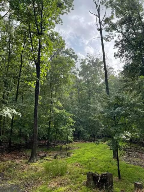 The views from the driveway welcome you with stunning greenery.