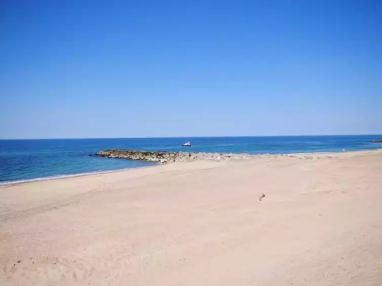 Area - Stelle - 100m to the inlet - Vestervig