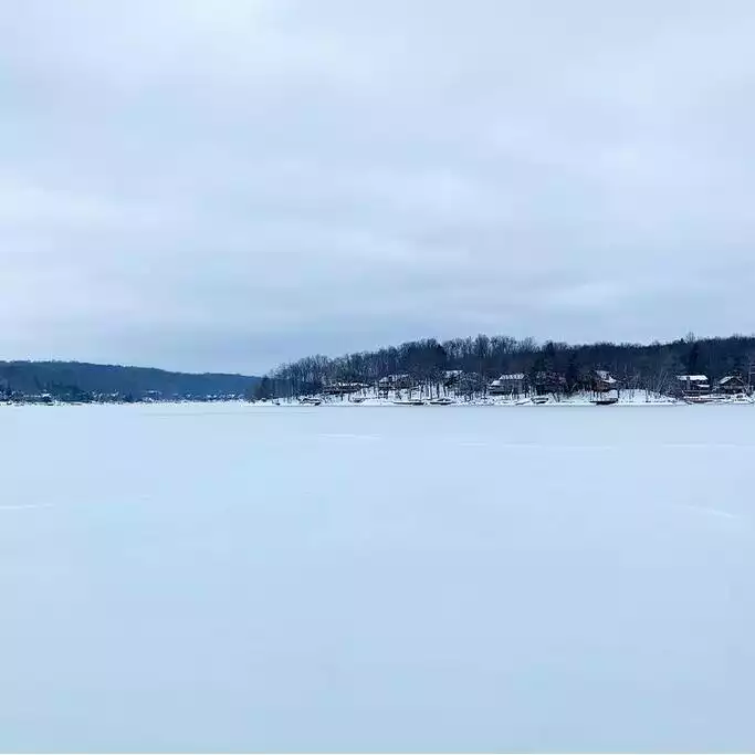 Lark Lodge - Poconos chalet near lake, pool, ski - Lake Ariel