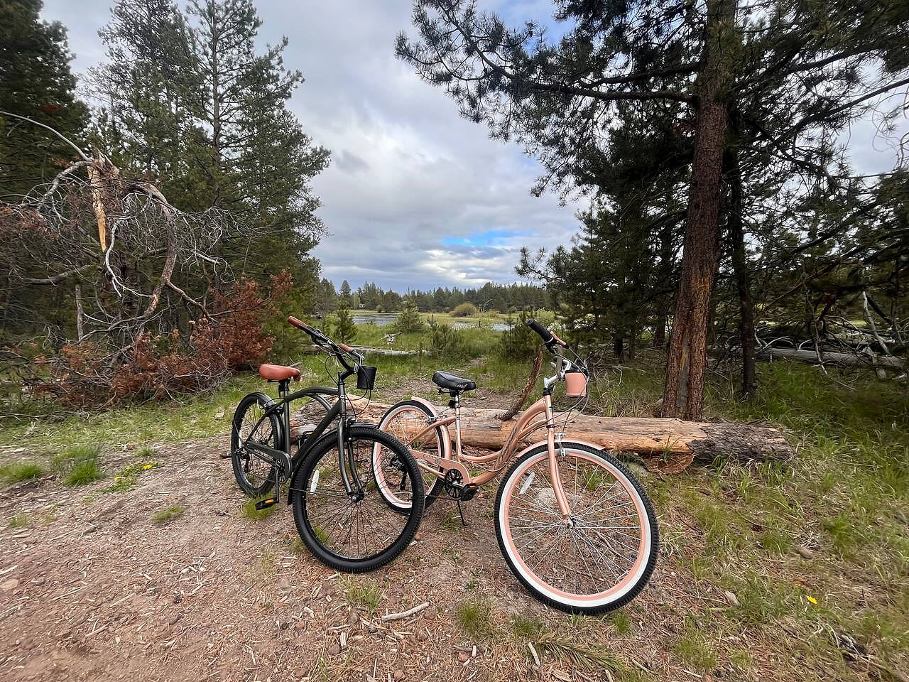 Cruiser bikes for exploring the 40+ miles of Sunriver trails.