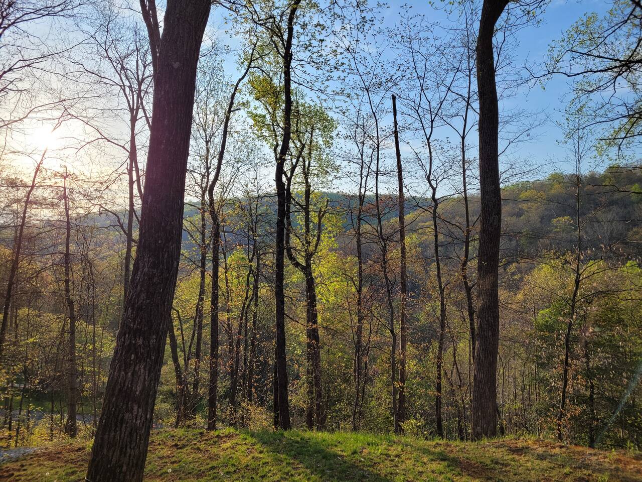 Views from the fire pit and back deck