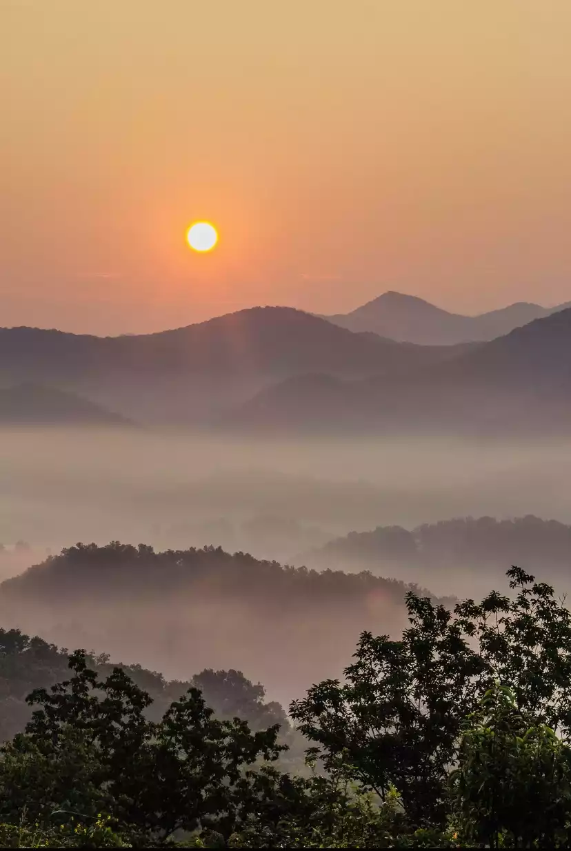 Smoky Mountains  - Bearly Gnomey - Gatlinburg