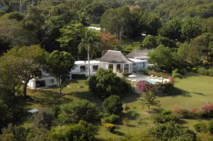 Muskatnuss - Montego Bay