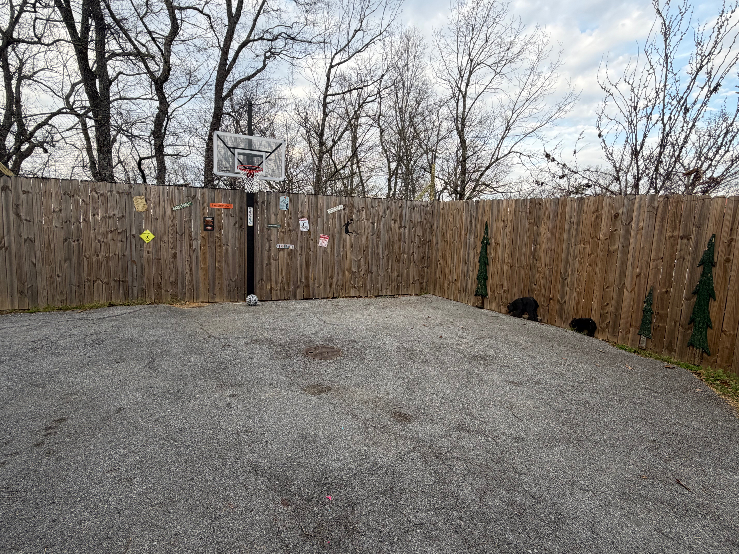 Parking Space/Basketball hoop
