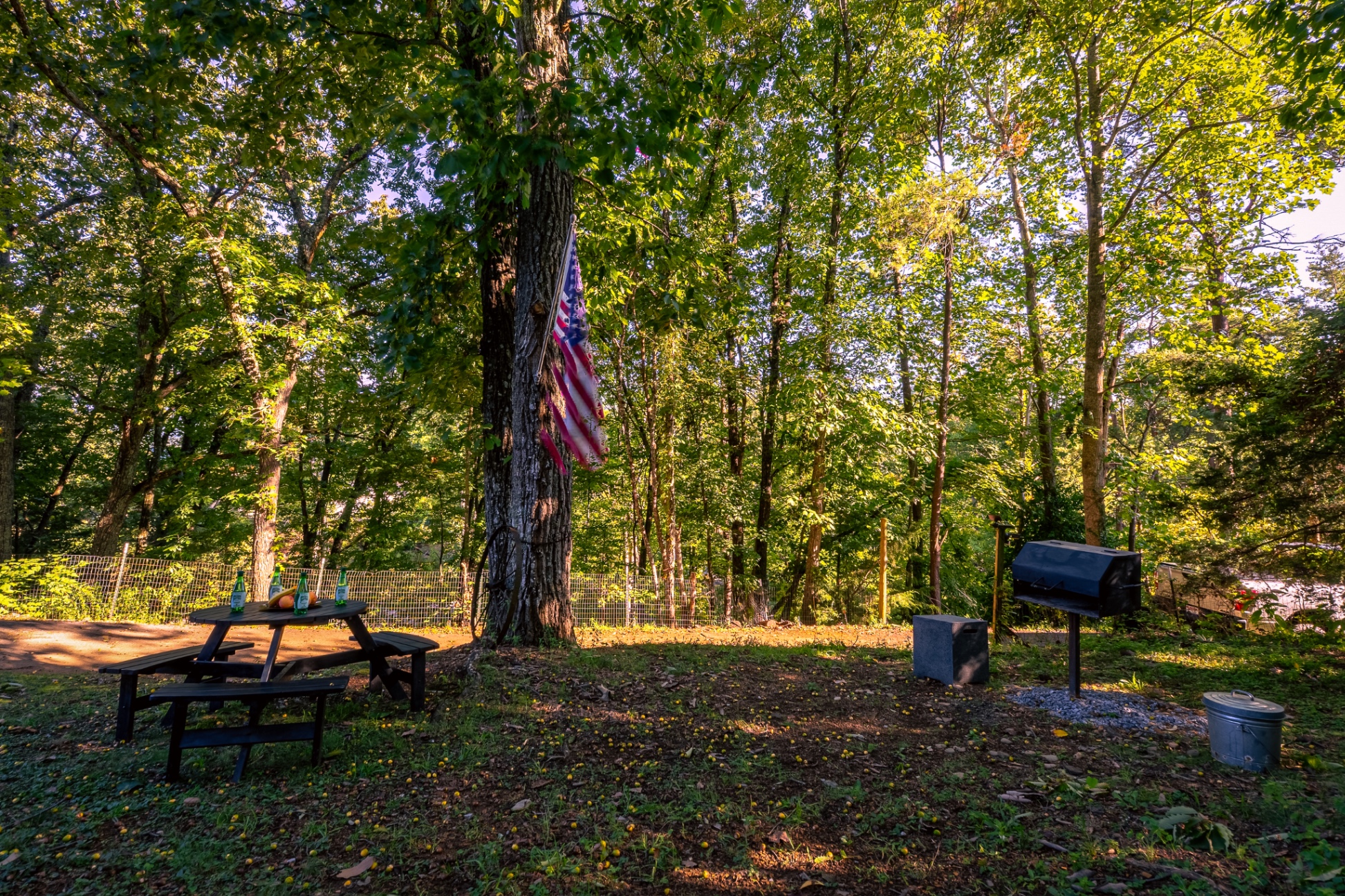 Charcoal Grill and picnic table