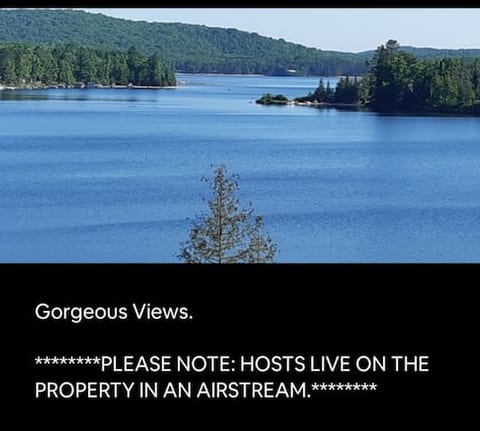The Laughing Moose Lodge