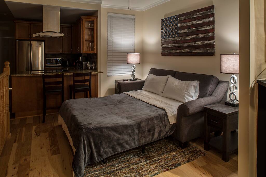 Sofa converts to queen-sized MiracleFoam sleeper bed Sofa converts to queen-sized MiracleFoam sleeper bed - Historic Home Next to Capitol, Walk to Everything! - Washington