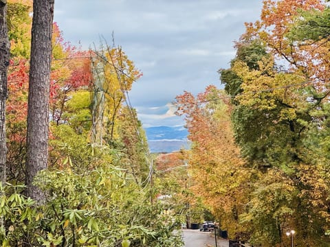 FALL UPPER DECK VIEW