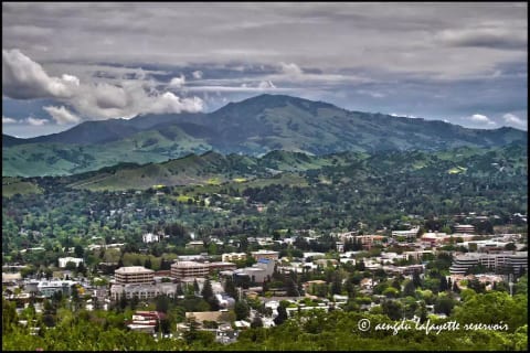 Downtown Walnut Creek