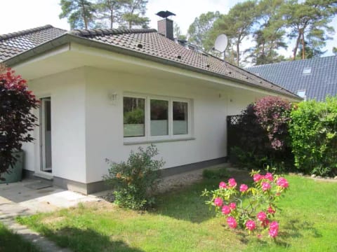 Enikö