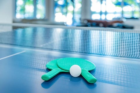 Rec Room - Ping Pong 