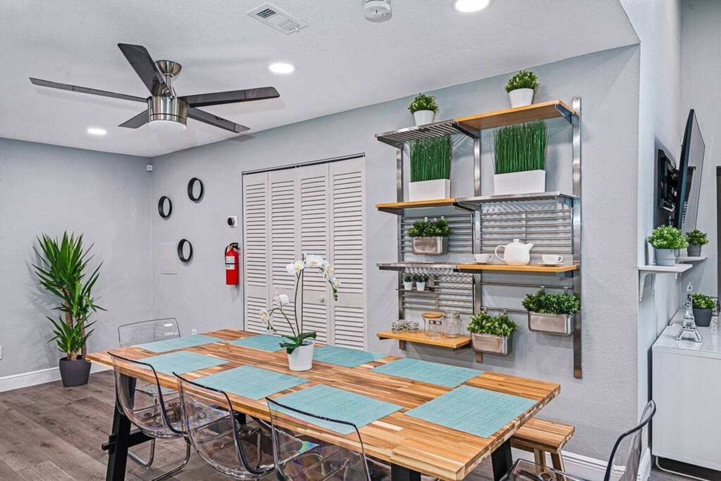 tampa-paradise-getaway/