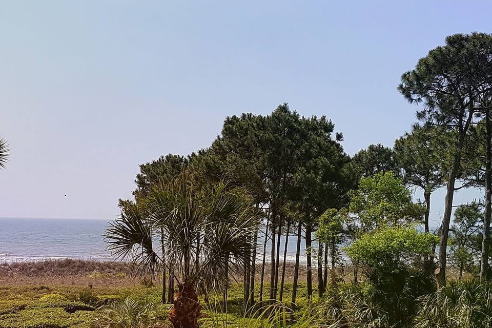 Crashin' Waves-Oceanview w/Bikes, Chairs& King Bed - Hilton Head Island